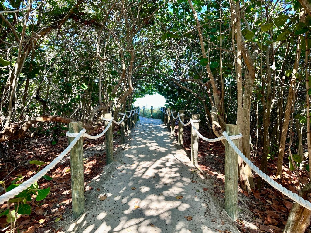 Romantasy Rough Draft Complete: 92K in 4&nbsp;Months!