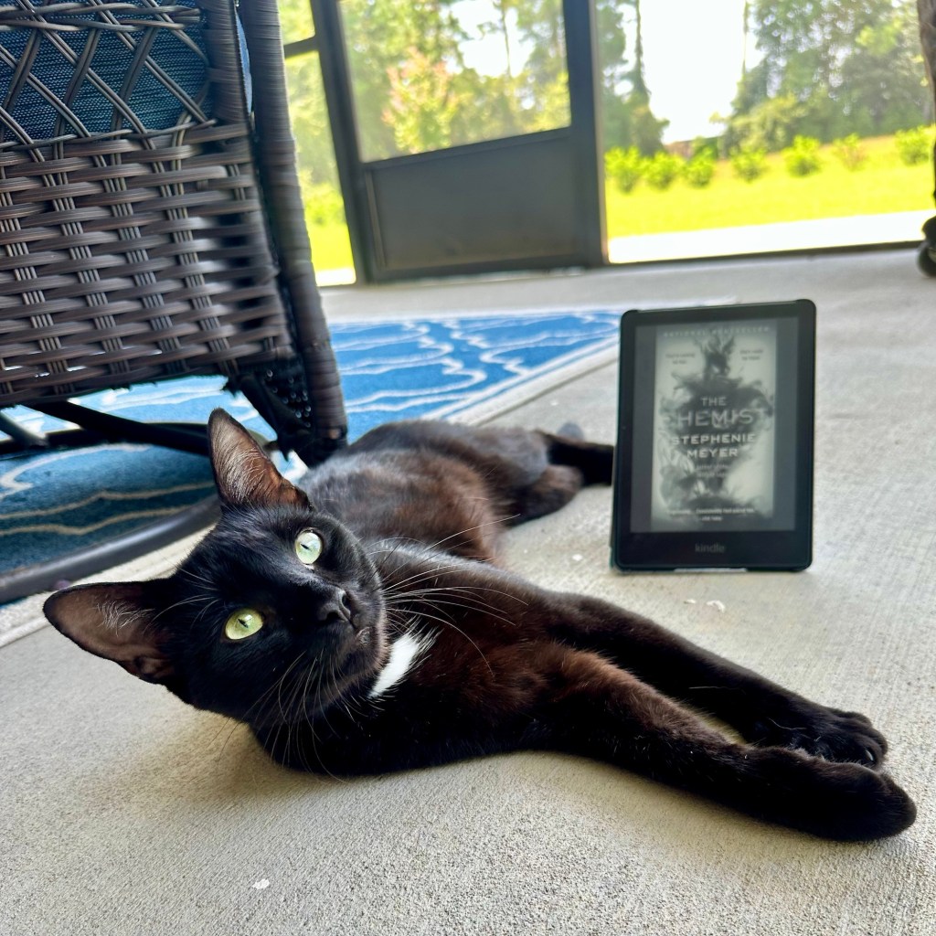 Diving Deep into My TBR Pile: The Chemist by Stephenie&nbsp;Meyer