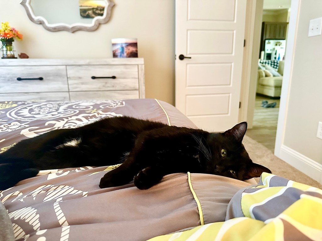 Mischief Helping Me Hit Word Count&nbsp;Goals