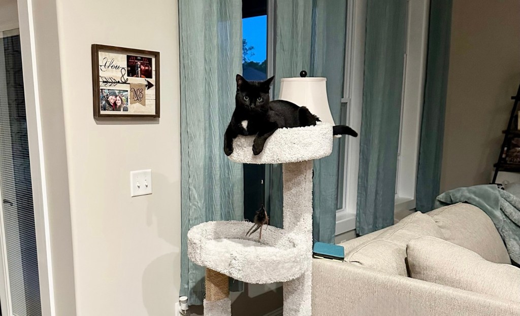 Romantasy Book 2 Milestone:  200 pages/ 53K&nbsp;words